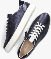 Blaue HASSIA Sneaker 301131 - medium