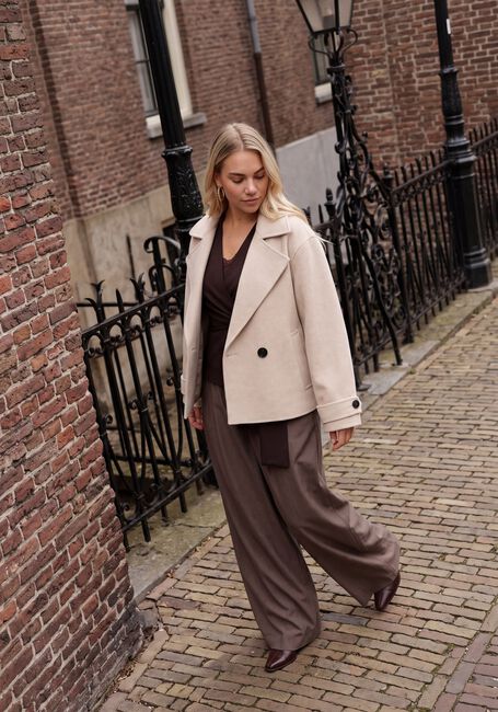 Braune INWEAR Hosen CLEOHIW PANT - large