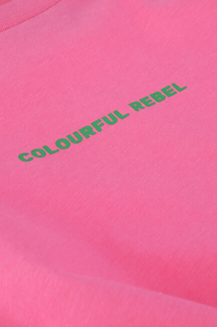 Rosane COLOURFUL REBEL T-shirt UNI LOGO LOOSEFIT TEE - large