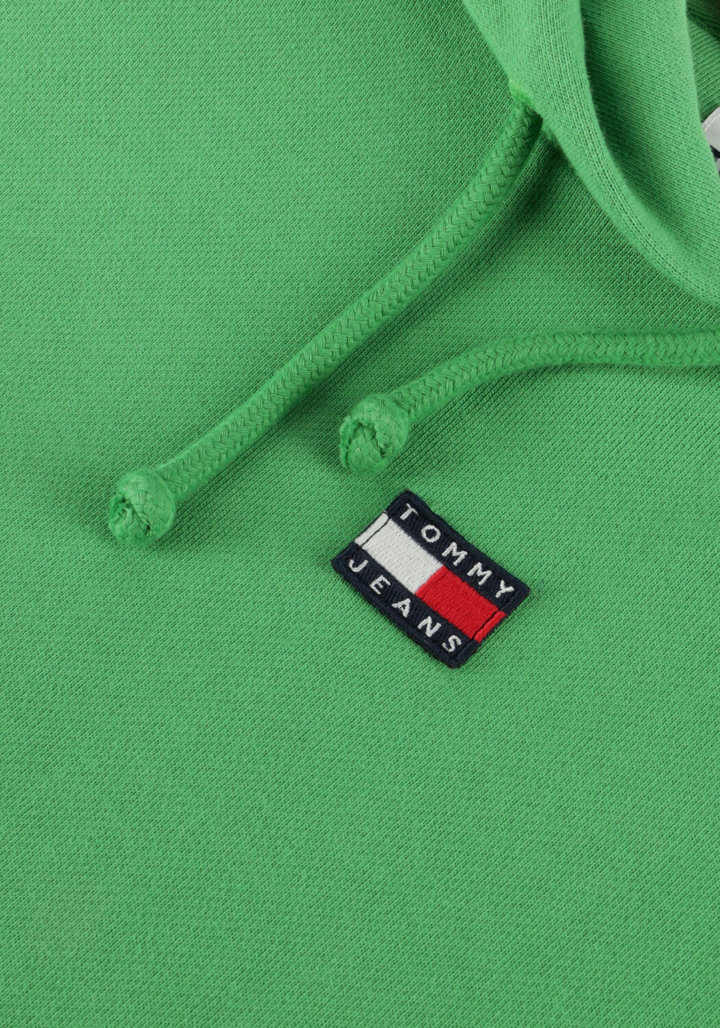 Gr&uuml;ne TOMMY JEANS Pullover TJW XS BADGE HOODIE - large