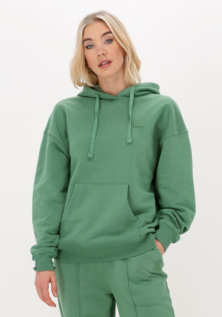 Gr&uuml;ne COLOURFUL REBEL Sweatshirt UNI OVERSIZED HOODIE - large