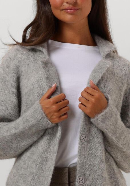 Hellgrau BELLAMY Strickjacke MABEL - large