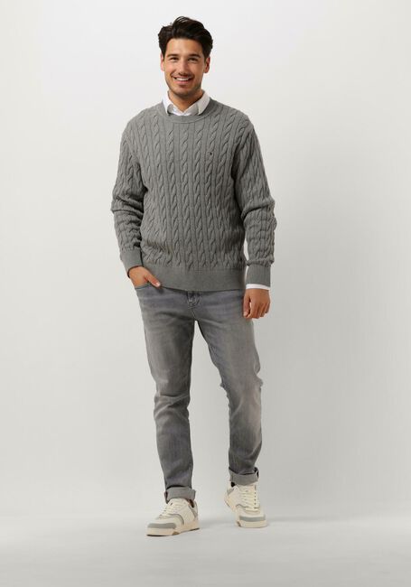 Graue TOMMY JEANS Slim fit jeans AUSTIN SLIM TPRD DG1272 - large