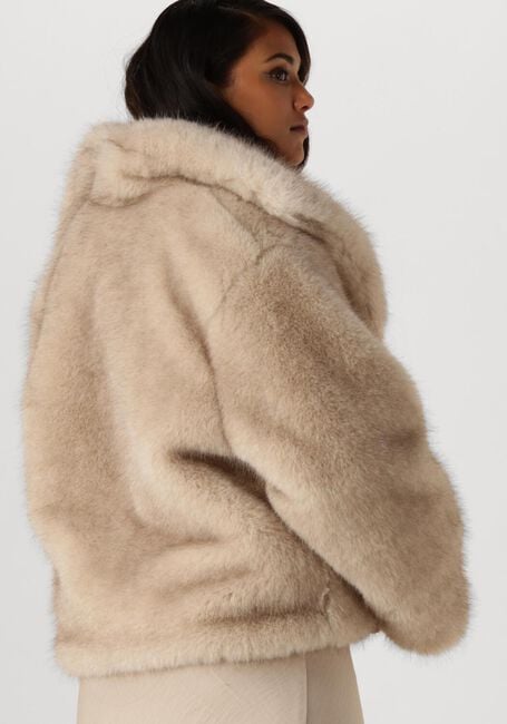 Beige NEO NOIR Fake-Fur-Jack STEPHANIE FAUX FUR JACKET - large
