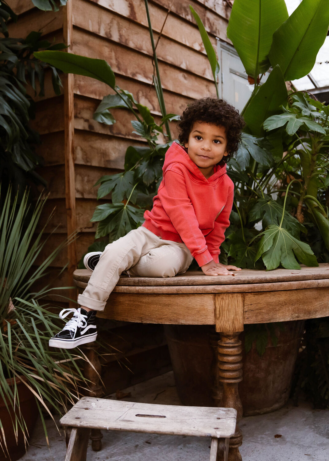 Rote DAILY7 Pullover & Cardigans HOODIE DISCOVERING LIFE - large