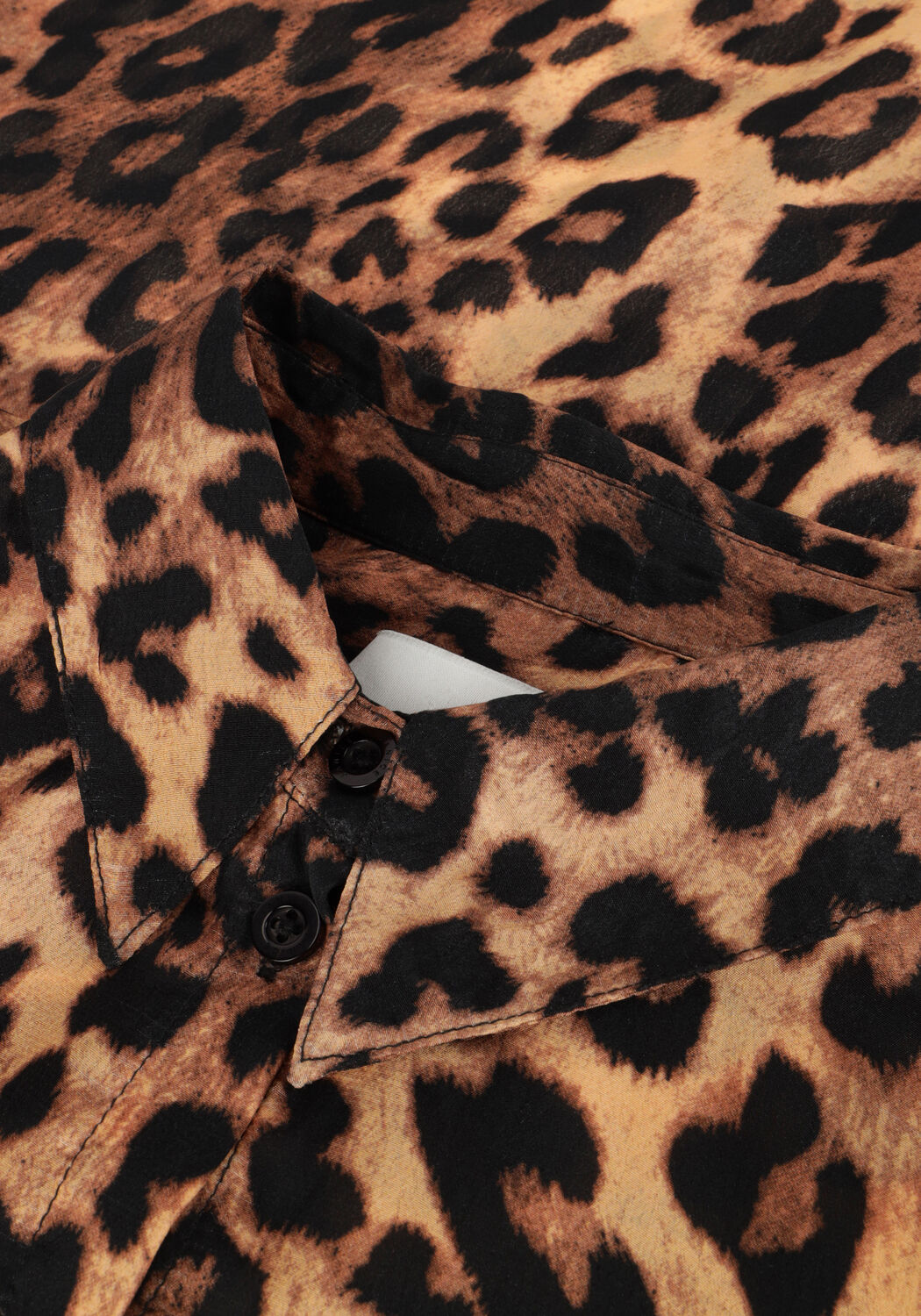 Braune JANICE Blusen DYLAN - large