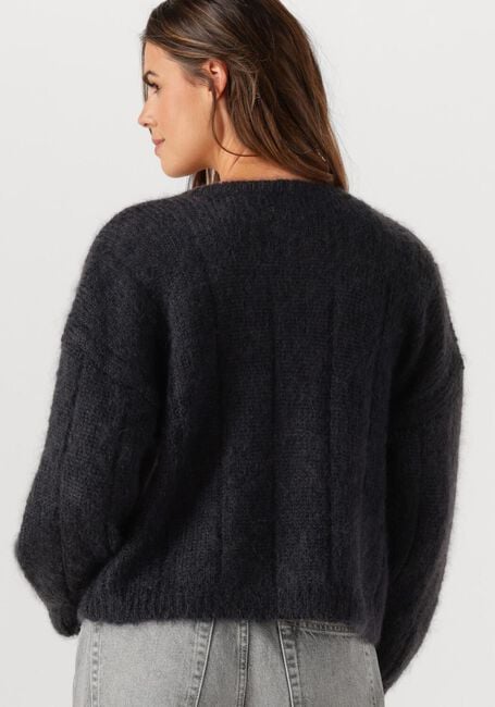 Dunkelgrau DES PETITS HAUTS Strickjacke CHOUETTE - large