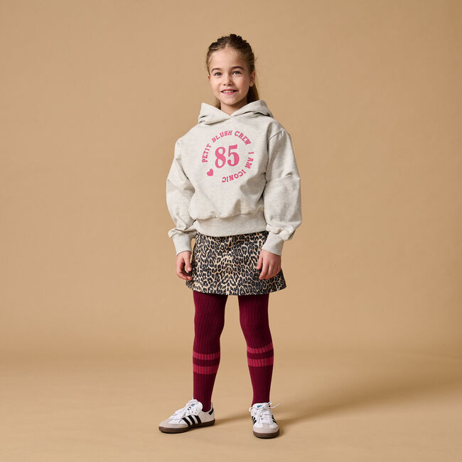 Hellgrau PETIT BLUSH Sweatshirt HOODED SWEATER - large
