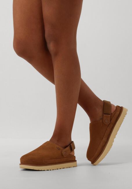 Cognacfarbene UGG Slipper W GOLDENSTAR CLOG - large