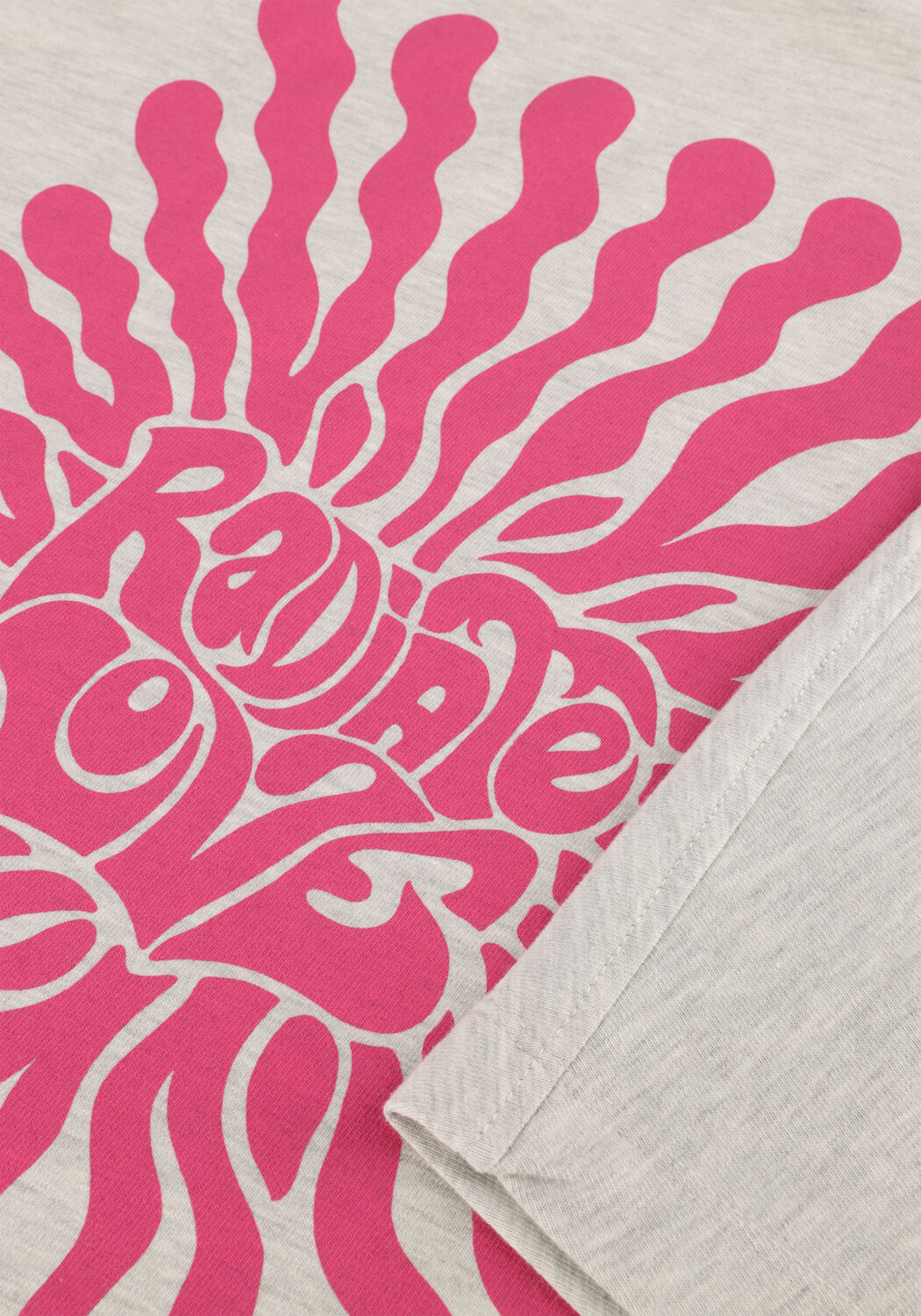 Graue CATWALK JUNKIE T-shirt OVERSIZED GRAPHIC TSHIRT - large