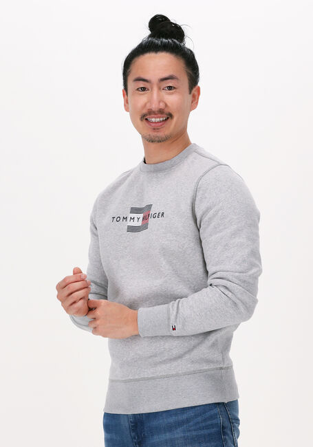 Hellgrau TOMMY HILFIGER Sweatshirt LINES HILFIGER CREWNECK - large