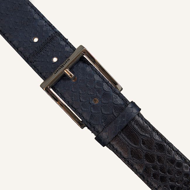 Blaue GIORGIO Gürtel BRABUS Blaue GIORGIO Gürtel BRABUS - large