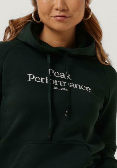 Dunkelgrün PEAK PERFORMANCE Pullover W ORIGINAL HOOD - large
