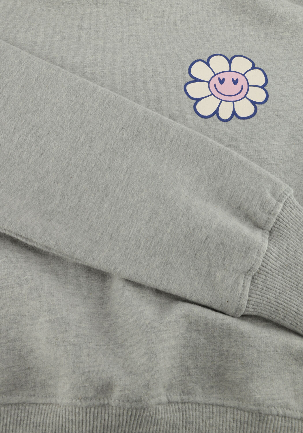 Graue THE NEW Sweatshirt TNSOFFI - large