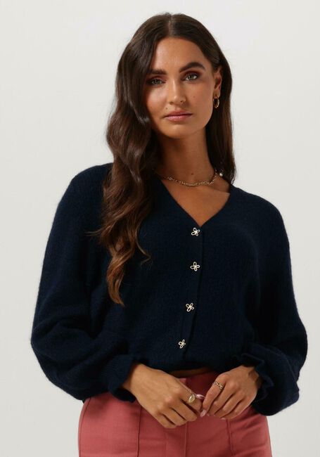 Blaue FABIENNE CHAPOT Strickjacke STELLA CARDIGAN 64 - large