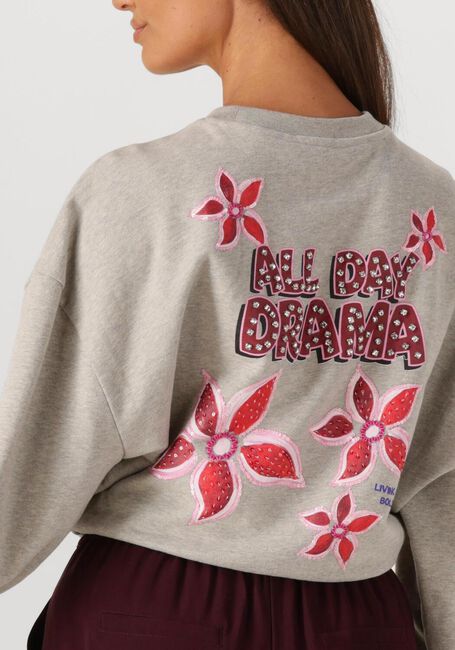 Graue HARPER & YVE Sweatshirt ALLDAYDRAMA-SW - large