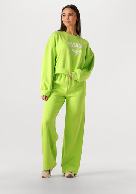 Gr&uuml;ne STUDIO AMAYA Hosen 261-ST7 - large