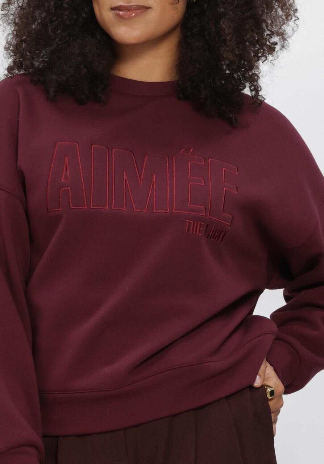 Bordeaux AIMEE THE LABEL Pullover & Cardigans BRAZILW6 SWEATER - large