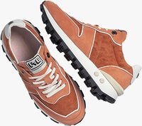 Orangene FLORIS VAN BOMMEL Sneaker low SFW-10115 - medium