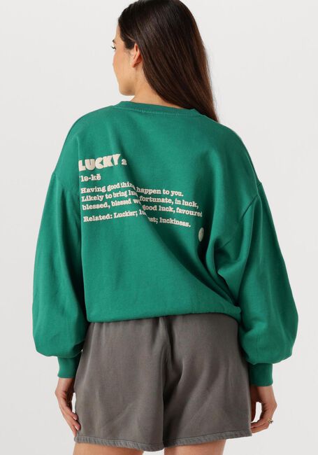 Grüne BY-BAR Pullover BIBI DICTIONARY BIG SWEATER - large