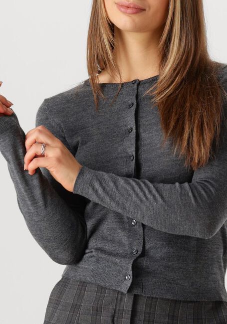 Graue MODSTRÖM Strickjacke HIROKIMD SHORT CARDIGAN - large