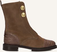 Taupe PERTINI Schnürboots 33049 Taupe PERTINI Schnürboots 33049 - medium