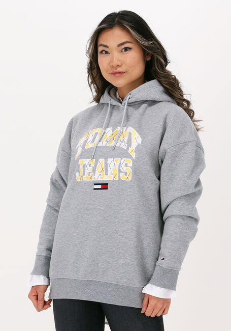 Hellgrau TOMMY JEANS Sweatshirt TJW OVRSZD COLLEGE ARGYLE HOODIE - large