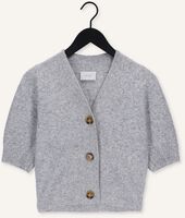 Hellgrau NEO NOIR Strickjacke MARS KNIT CARDIGAN Hellgrau NEO NOIR Strickjacke MARS KNIT CARDIGAN - medium