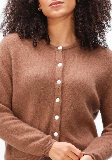 Braune AMERICAN VINTAGE Pullover VITOW - large