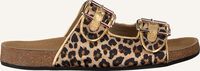Beige TORAL Pantolette 11016 - medium
