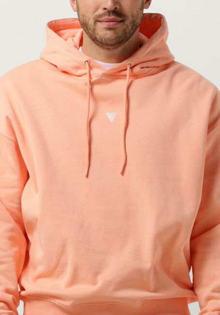 Koralle PURE PATH Pullover HOODIE WITH BACK PRINT AND SMALL FRONTPRINT - large