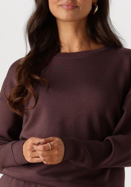 Lilane MSCH COPENHAGEN Sweatshirt MSCHIMA Q SWEATSHIRT - large