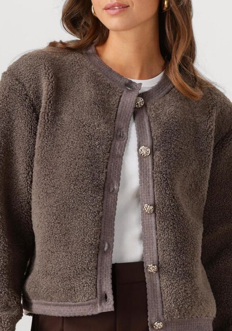 Graue NOTRE-V Strickjacke NV-GIA - large