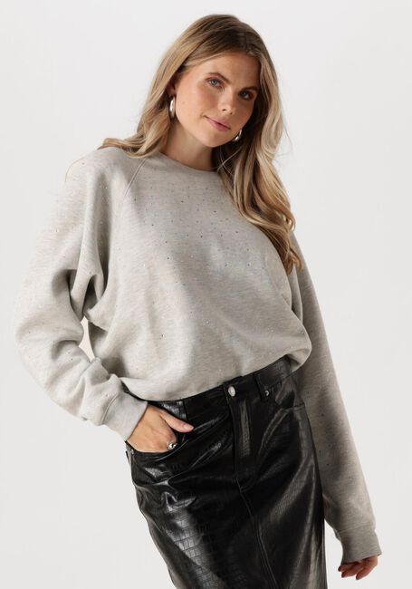 Graue CATWALK JUNKIE Pullover RELAXED RAGLAN SLEEVE SWEATER WITH STRASS - large