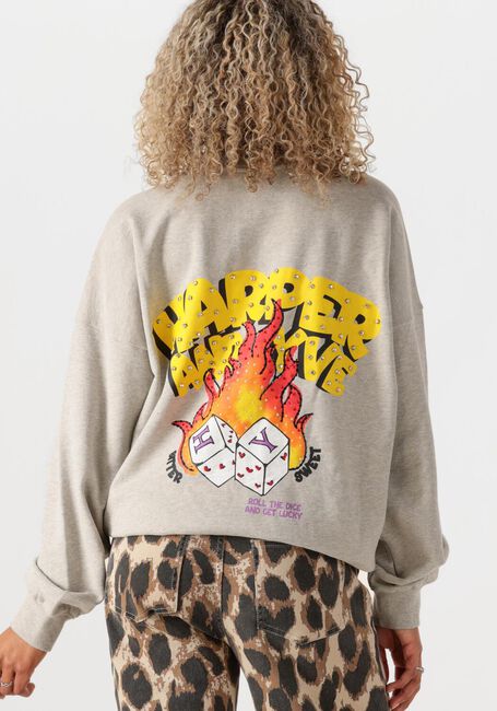 Graue HARPER & YVE Sweatshirt ROLLTHEDICE-SW - large