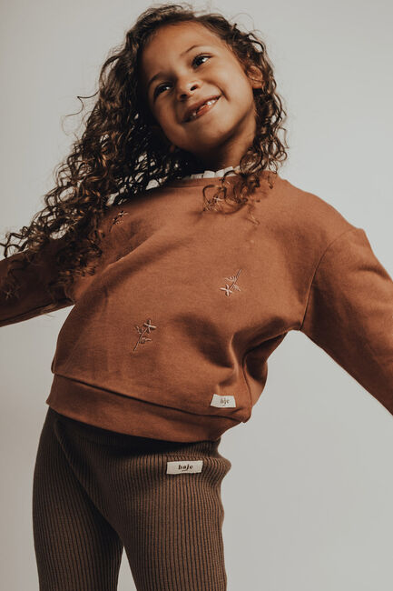Braune BAJE STUDIO Sweatshirt CHISEL - large