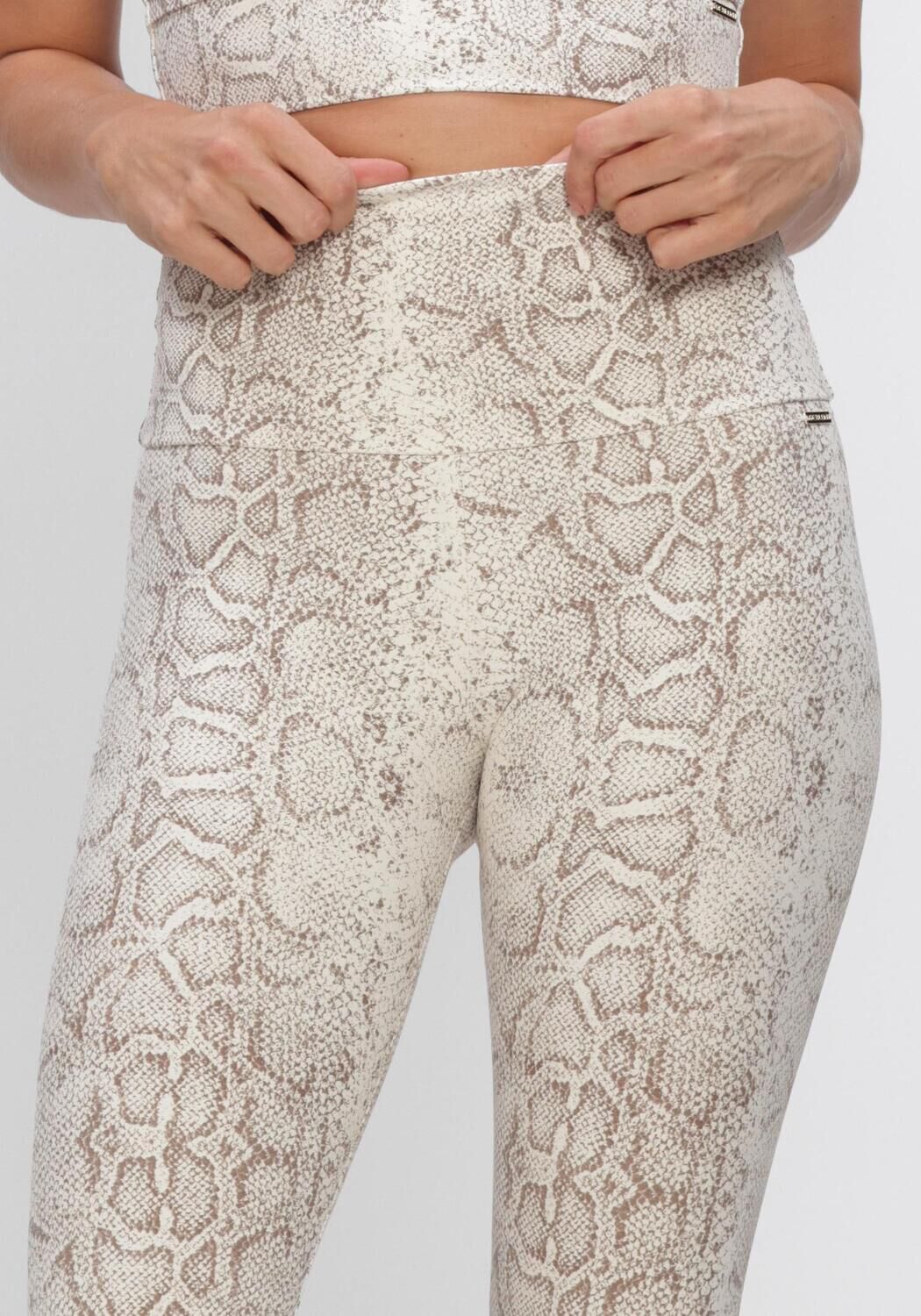 Braune DEBLON SPORTS Legging CLASSIC LEGGINGS HIGH WAISTBAND 2 - large