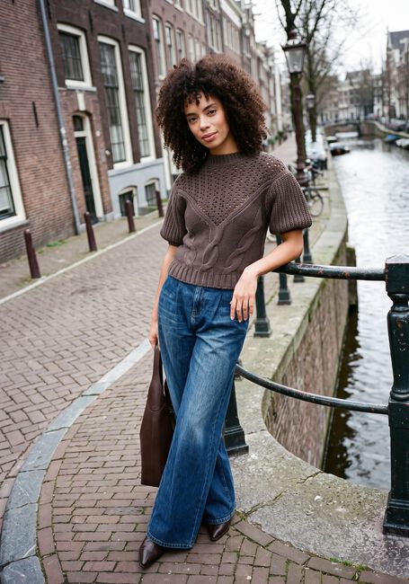 Braune JANICE Pullover & Cardigans NEXO - large