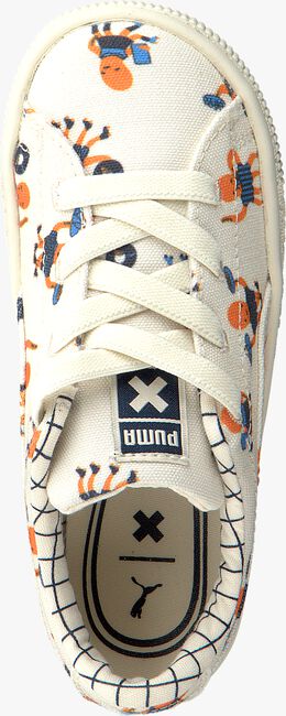 Beige PUMA Sneaker low PUMA X TC BASKET CVS - large