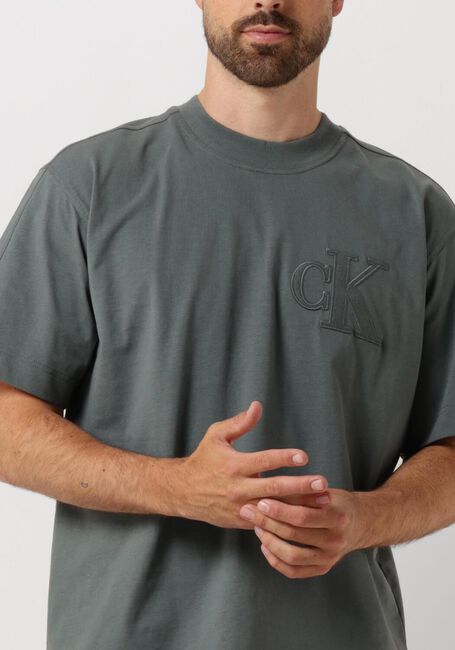 Graue CALVIN KLEIN T-shirt CK APPLIQUE TEE - large