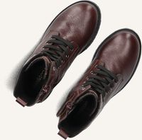 Rote TON & TON Schnürboots JINTHE Rote TON & TON Schnürboots JINTHE - medium