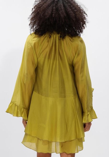 Gr&uuml;ne DEVOTION Kleider SHEEN - large