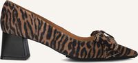Braune LODI Pumps CHENERI Braune LODI Pumps CHENERI - medium