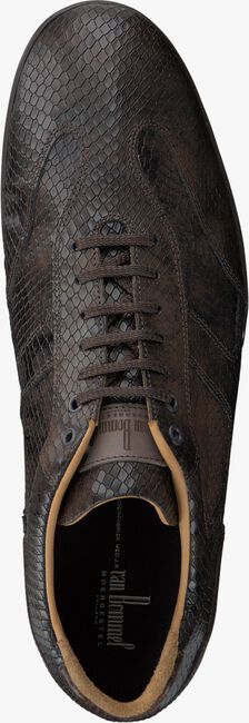Braune VAN BOMMEL Sneaker low 10928 - large