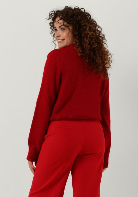 Rote ANOTHER LABEL Pullover DEE KNITTED PULL L/S - large