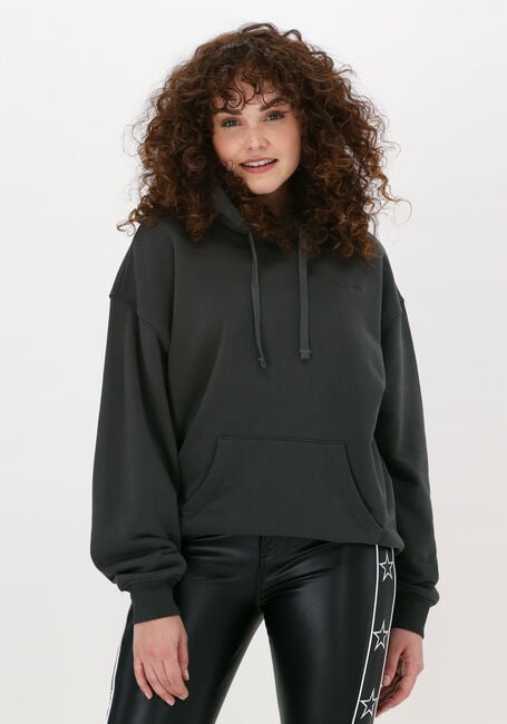 Graue COLOURFUL REBEL Sweatshirt BORN LUCKY EMBRO OVERSIZED HOO - large