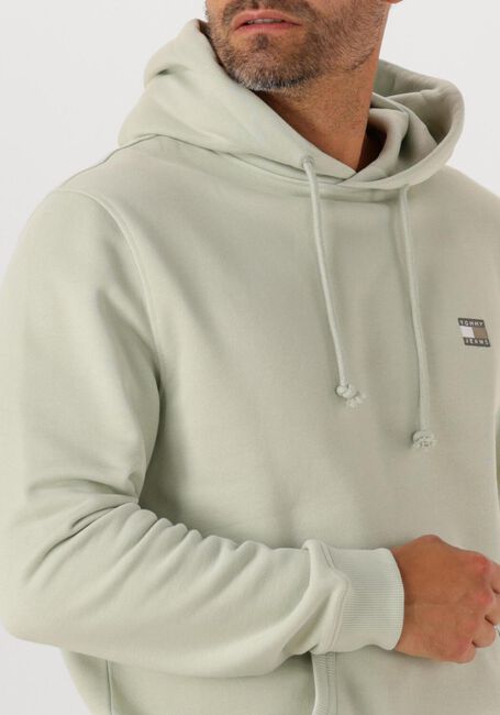 Minze TOMMY JEANS Pullover TJM REG BADGE HOODIE EXT - large