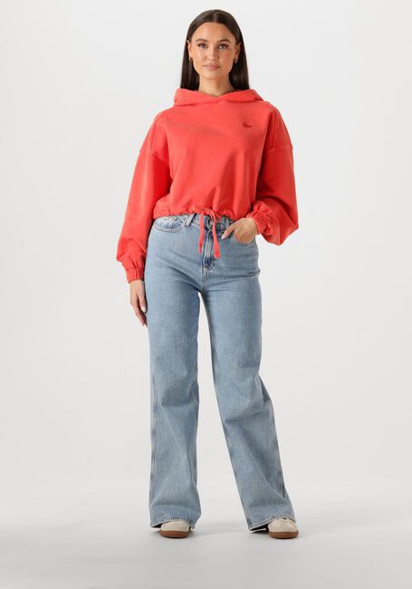 Rote TOMMY JEANS Sweatshirt TJW CRP GMD SCRIPT HOODIE - large