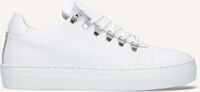 Weiße NUBIKK Sneaker Low JAGGER CLASSIC - medium