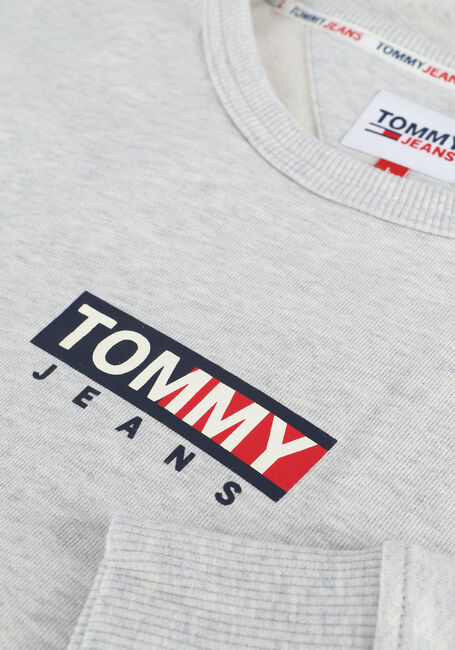 Hellgrau TOMMY JEANS Sweatshirt TJM ENTRY GRAPHIC CREW - large